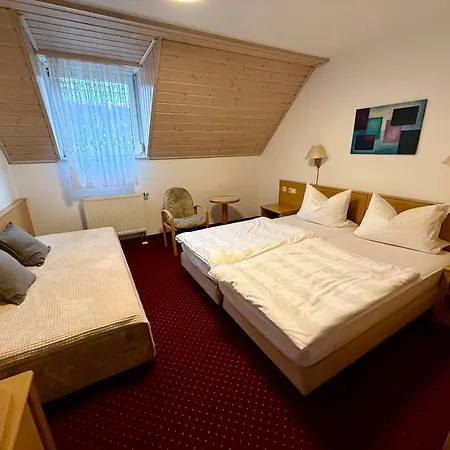 Am Muehlenwoerth فندق