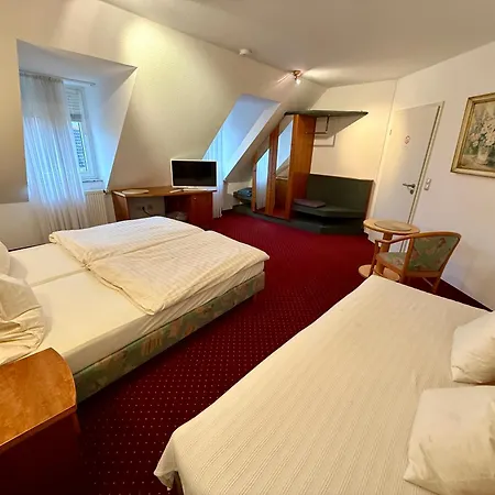 Am Muehlenwoerth فندق