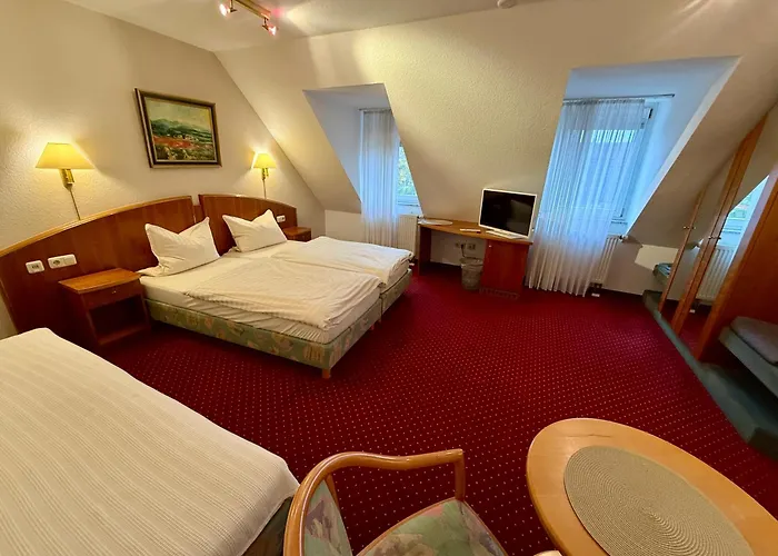 فندق Am Muehlenwoerth *